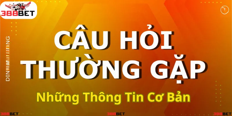 Giải đáp nhanh chóng những thắc mắc phổ biến